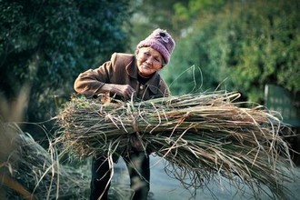 《苹果》删掉片段